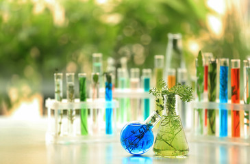 Flasks with plants and liquids on table