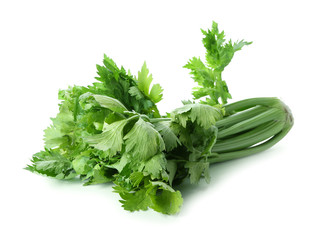 Fresh celery on white background