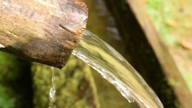 Water stream source in Black Forest Germany