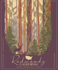 Redwoods park in California vector colorful poster. State parks. World's tallest trees.