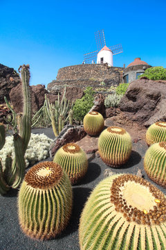 Jardin de Cactus - Lanzarote / Canarias (Spain)