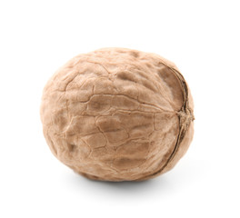 Tasty walnut on white background