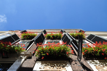 Window boxes and wooden shutters.