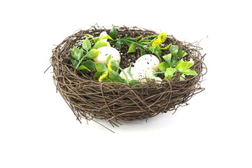 Fototapeta premium bird nest isolated on white background