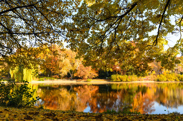 Indian Summer, Schönheit des Herbstes am See, Spätsommer, Indian Summer, wundervolle Farben im Wald, weiches, stimmungsvolles Licht :)