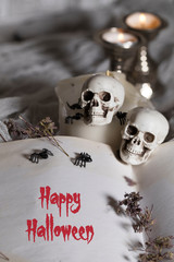 Happy Halloween. Opened book of bewitchment with free space for a text.