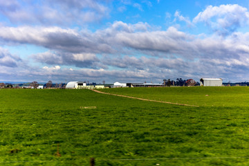 Countryside in New Zealand