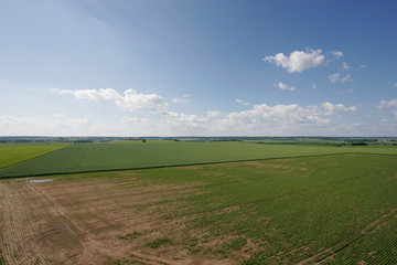 green field and blue sky
