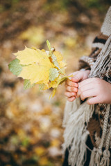 Atmospheric walk through the forest of a beautiful girl with leaves in hand. Outdoor portrait of a cute little girl in an autumn forest, wearing knitted poncho and hat. Autumn mood in the forest