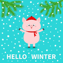 Hellow winter. Pink pig. Falling snow. Chinise symbol of 2019 new year. Fir tree. Branch spruce Cute cartoon funny character. Flat design. Blue background.