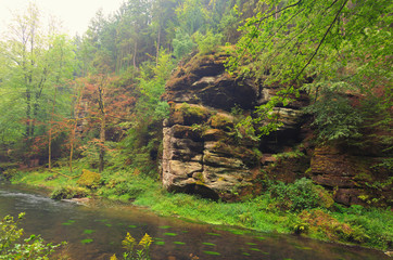Foggy summer morning landscape. Kamenice River with sandstone rock in green forest. Bohemian...