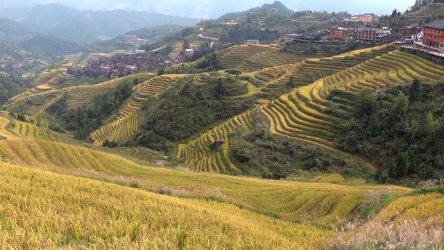 &nbsp;A scenic view of Longji Rice Terraces of Longsheng with Dazhai and  Pingan Village
