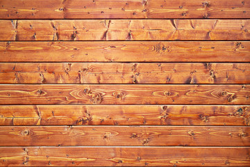 real spruce wainscot texture
