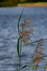 Am Hufeisensee