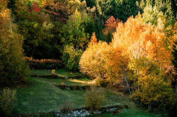 Autunno in trentino