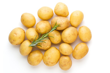 New potato and rosemarin isolated on white background close up.