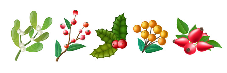 Christmas berry set, including mistletoe, holly berry, rose hip, Christmas berry with green leaf. Berry collection, isolated on white for Christmas and winter holiday decoration and frame design © schondrienn