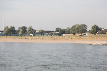 Naklejka premium bank of river