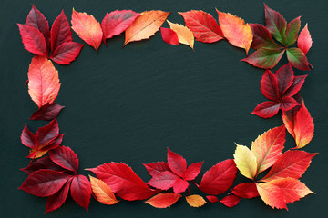 Obraz premium Red and yellow autumn leaves on dark background, frame from autumn leaves with space for text