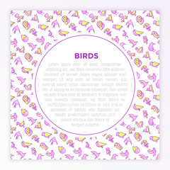 Birds concept with thin line icons: dove, owl, penguin, sparrow, swallow, kiwi, parrot, eagle, humming bird, pink flamingo. Modern vector illustration, print media template.