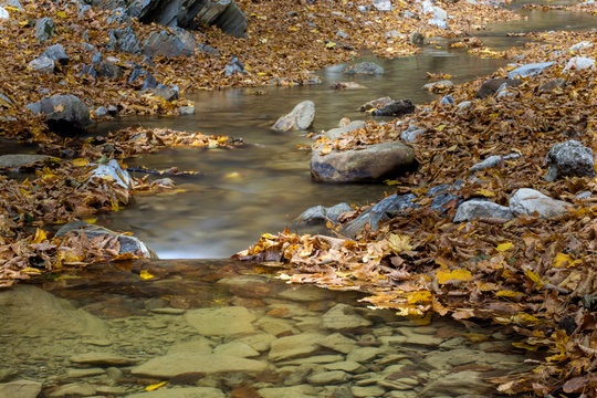A little water spring in the Carpathian Mountains in fall season