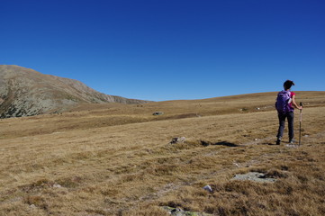 Fototapeta premium Jeune femme randonne dans la steppe au pla guillem dans le massif du canigou