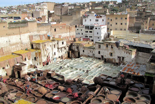 Morocco. The old  tannery of Fez