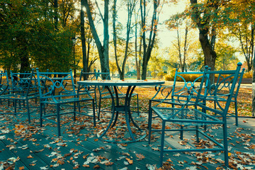 Outdoor cafe terrace. Table with golden autumn leaves in autumn