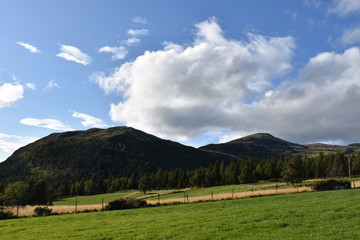 Norwegen, Tron, Sender, Berg, Gipfel, Straße, Schotterstraße, Maut, Mautstraße, Islandmoos,...