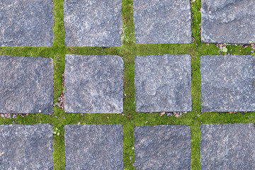 Green grass between granite tiles. Street pavement