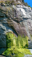 Stones with moss