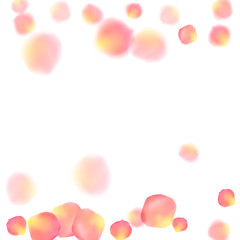 Fototapeta premium Rose gold petals flying cosmetics vector background.