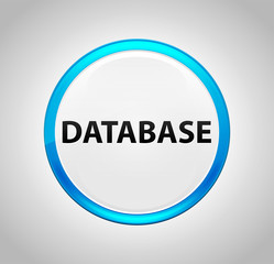Database Round Blue Push Button