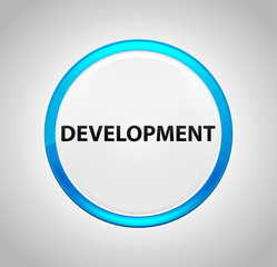 Development Round Blue Push Button