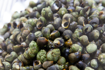 Caracolollos cocidos