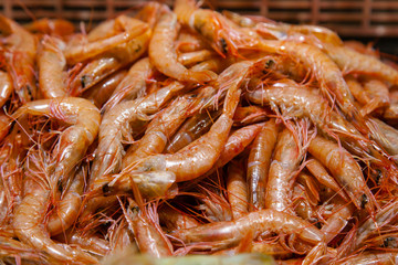 Gamba de Huelva fresca