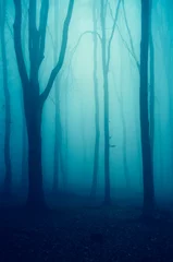 Muurstickers mysterious dark fantasy forest landscape © andreiuc88