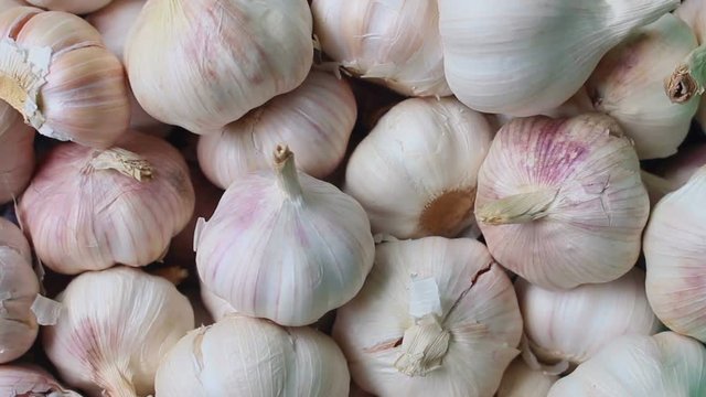 garlic background rotate