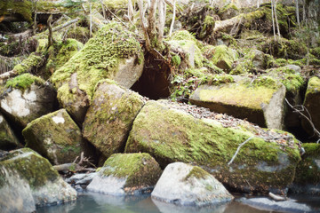 Naklejka premium Broken rock on the bank of the stream. Amazing natural pentagonal blocks of stones. Nature reserve.