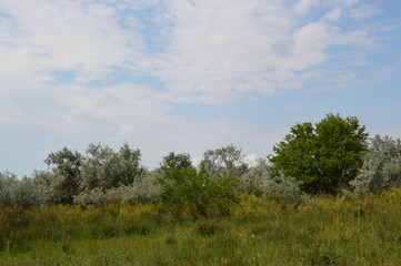 Ukraine.Arabatskaya arrow. Chokrak