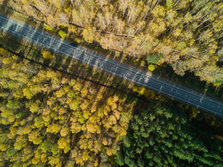 Aerial view of road in the autumn forest, Russia