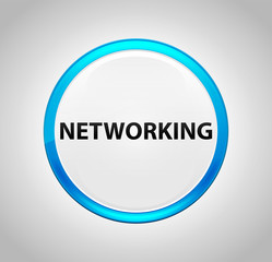 Networking Round Blue Push Button