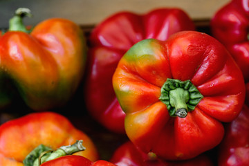 red hot pepper round shape natural background