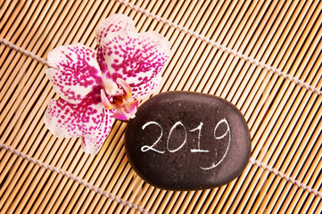Obraz na płótnie Canvas 2019 written on a black pebble with pink orchid, zen greeting card