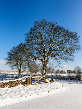 Winter at Levisham on the North York Moors
