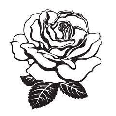 Black and white rose icon with leaves. Hand drawn vector. - obrazy, fototapety, plakaty