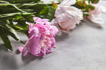 Gentle pink and white peonies with green leaves on a gray concrete background with space for text. Mother's Day Card