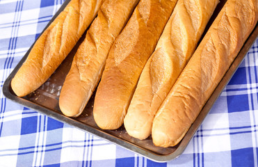 baguette - delicious crispy loaf