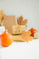 Still life on white. Pumpkins, autumn leaves