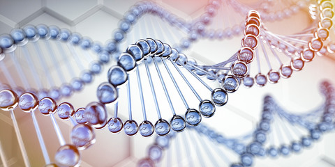 DNA - Modell - Visualisierung